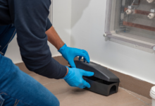 Pests are more than just an inconvenience—they can pose serious health risks, damage property, and create a deeply uncomfortable living