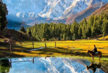 Travel Attractions