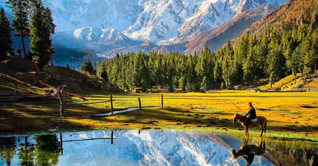 Travel Attractions