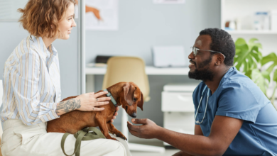 The Importance of Pet Insurance in Red Wing, MN