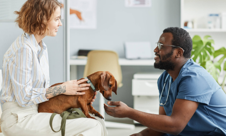 The Importance of Pet Insurance in Red Wing, MN