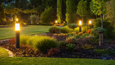 A Comprehensive Guide to Outdoor Lighting in Minnesota's Unique Climate