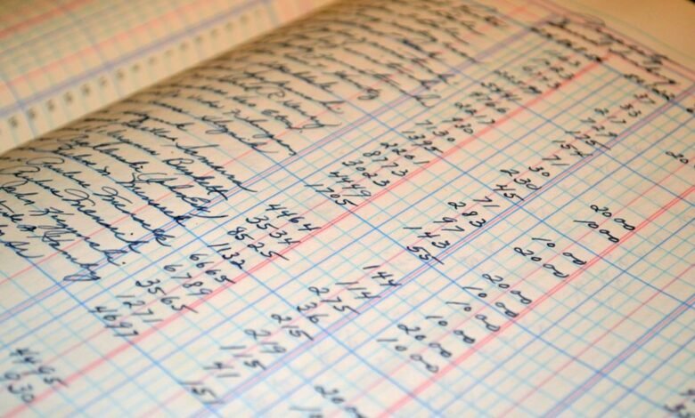 information audit for entities