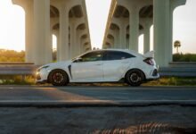 premium industry performance analysis