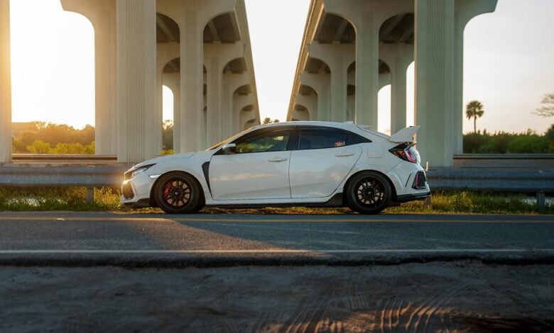 premium industry performance analysis