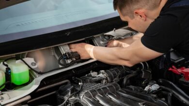 background check and alerts