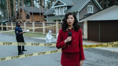 ip activity reports overview