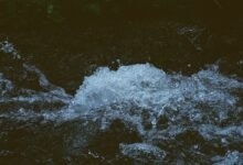 omega stream momentum launch