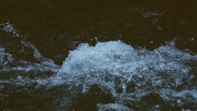 omega stream momentum launch