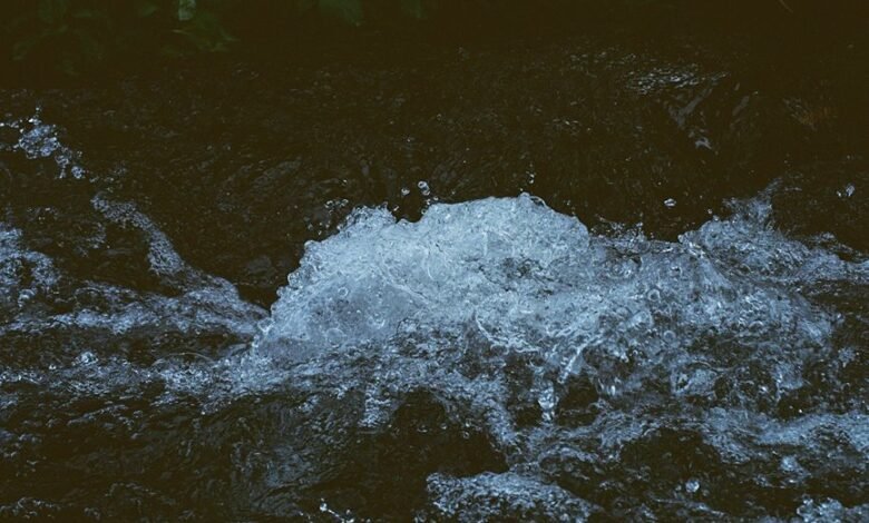 omega stream momentum launch