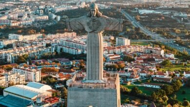 verified safety lookup details